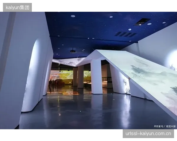 将所有大型场馆都改造为应急节点，是否忽视了不同城市、不同区域的真实灾害风险与人口密度差异？